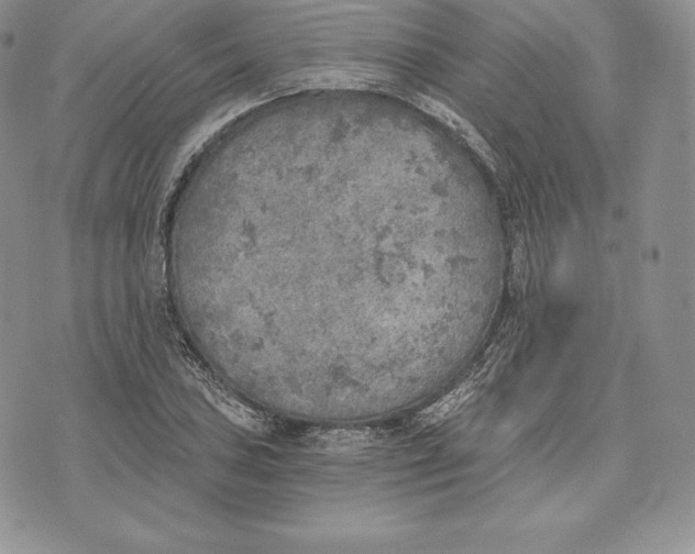 X0000072931027200608111530