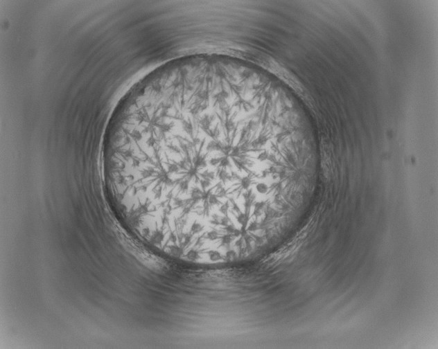 X0000072931028200608111530