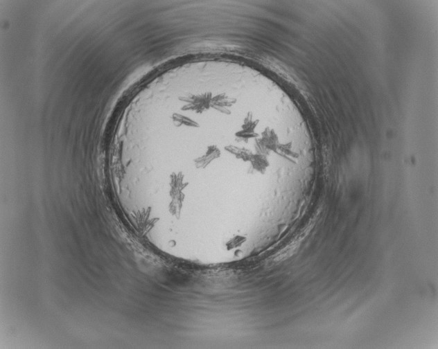 X0000072931029200608111530