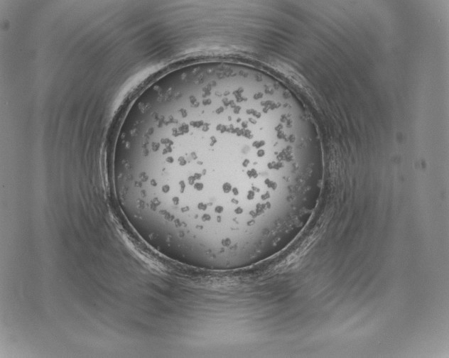 X0000072931030200608111530