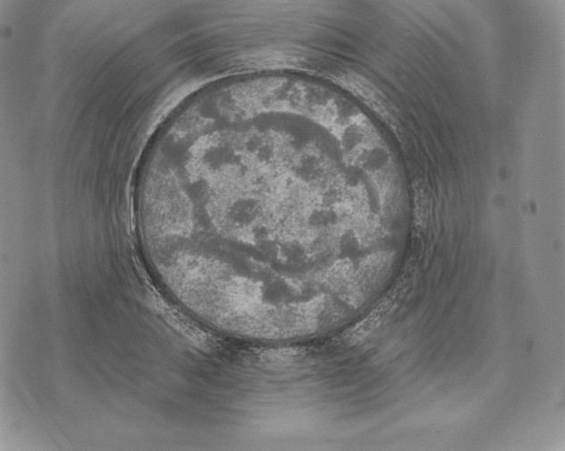 X0000072931031200608111530