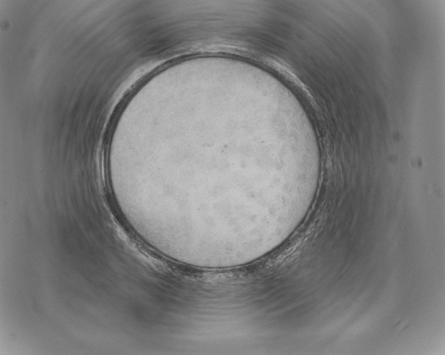 X0000072931032200608111530