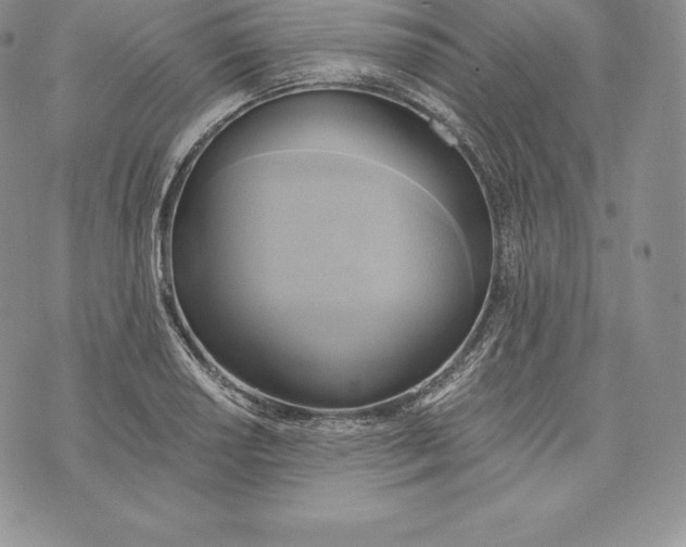 X0000072931034200608111530