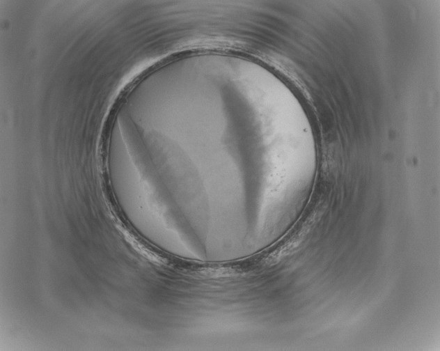 X0000072931037200608111530