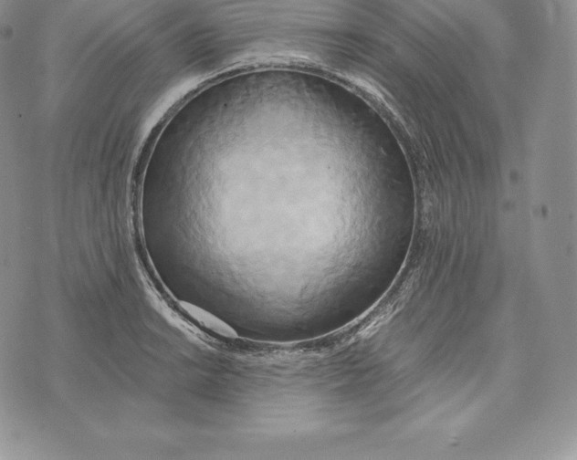 X0000072931038200608111530