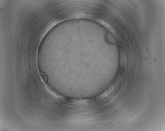 X0000072931039200608111530