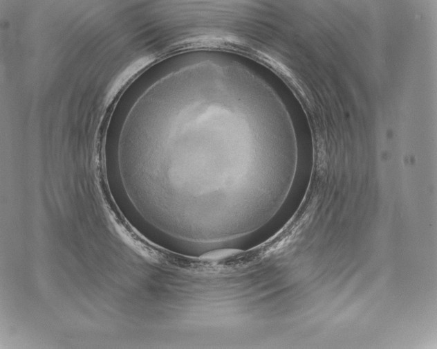 X0000072931042200608111530