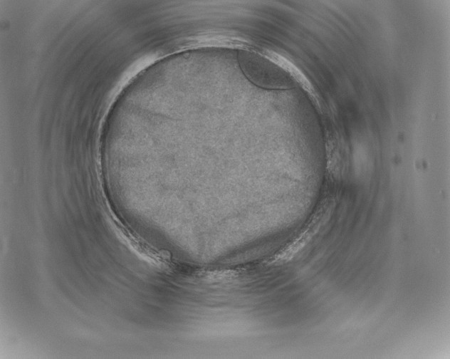 X0000072931043200608111530