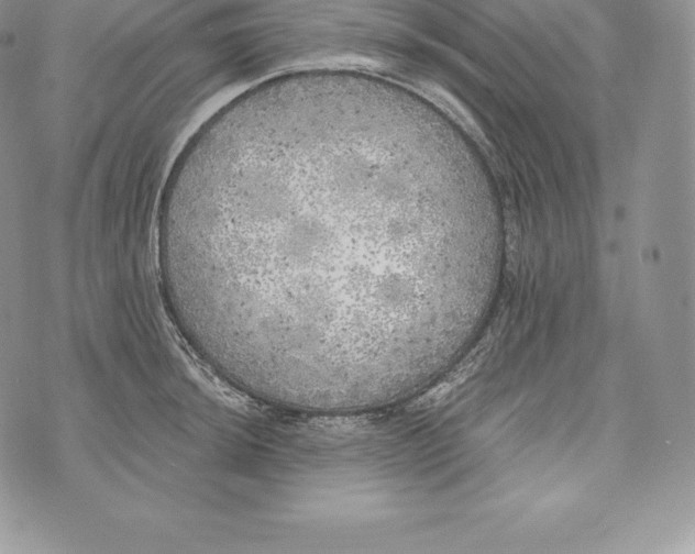 X0000072931044200608111530