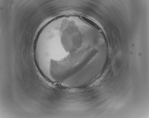 X0000072931045200608111530