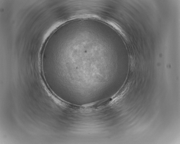 X0000072931046200608111530