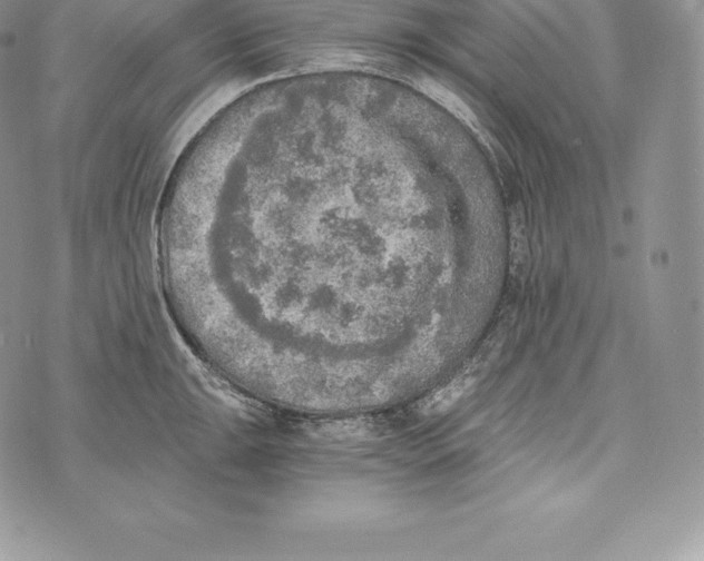 X0000072931047200608111530