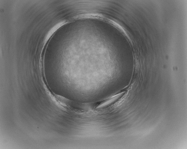 X0000072931050200608111530