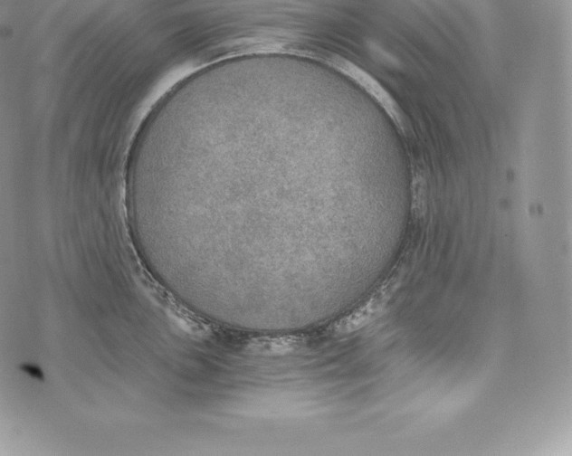 X0000072931051200608111530