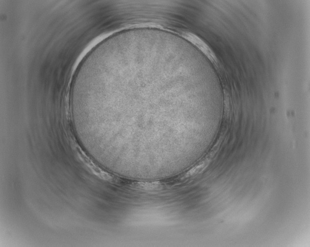 X0000072931052200608111530