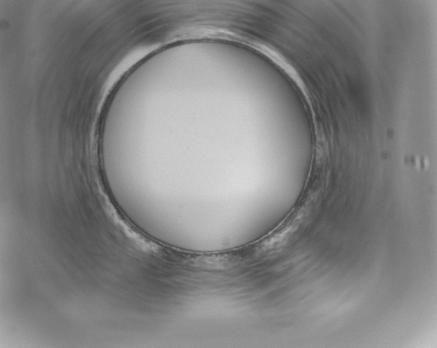 X0000072931053200608111530