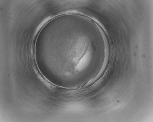 X0000072931054200608111530