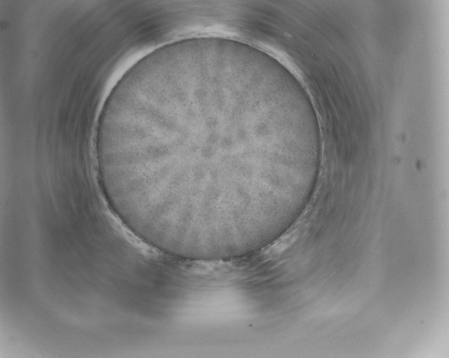 X0000072931056200608111530