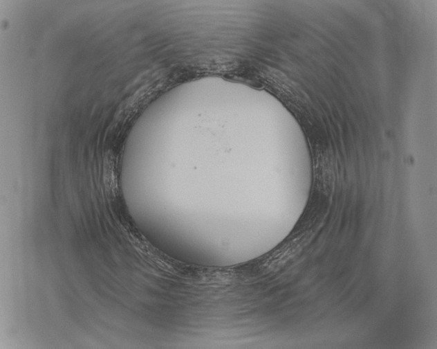 X0000072931058200608111530