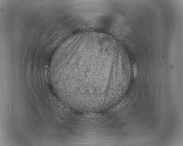 X0000072931059200608111530