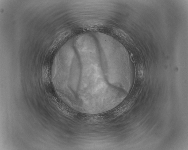 X0000072931060200608111530