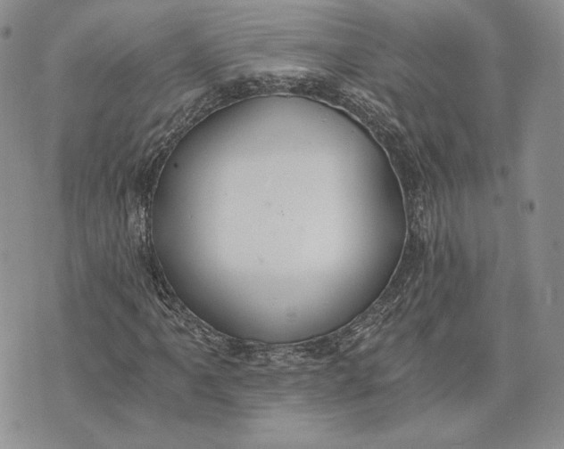 X0000072931061200608111530