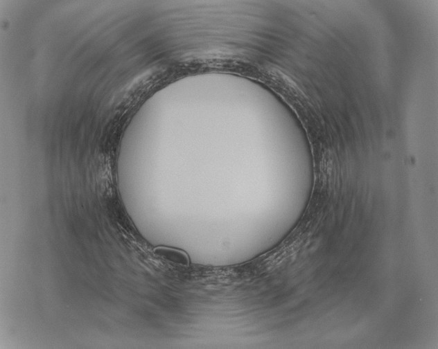 X0000072931062200608111530