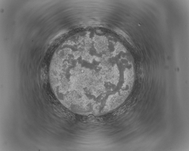 X0000072931063200608111530