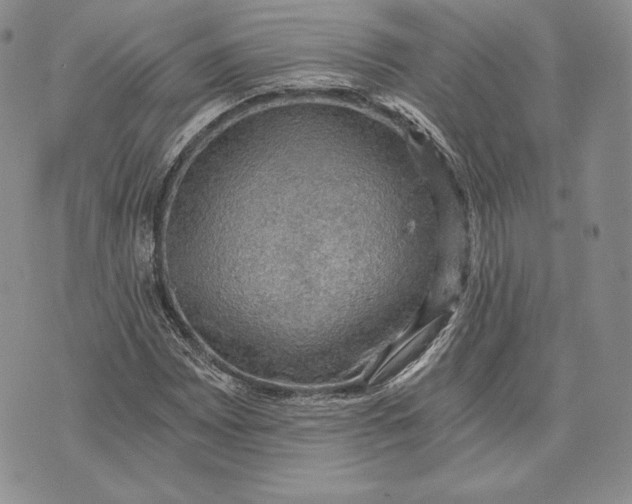 X0000072931065200608111529