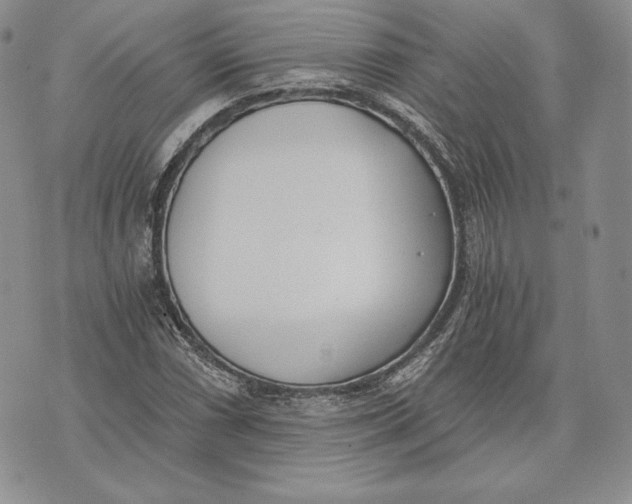 X0000072931066200608111529