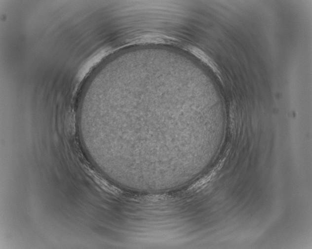 X0000072931067200608111529