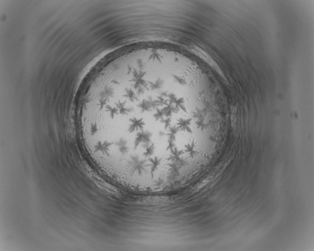 X0000072931068200608111529