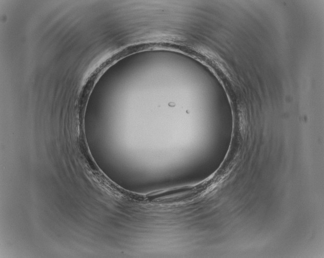 X0000072931069200608111529