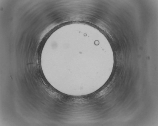 X0000072931070200608111529