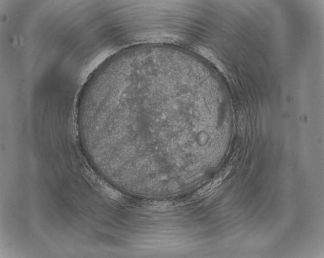 X0000072931071200608111529