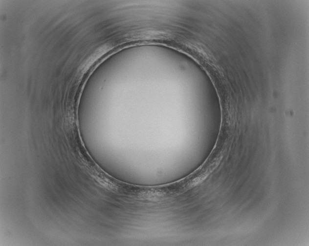 X0000072931073200608111529