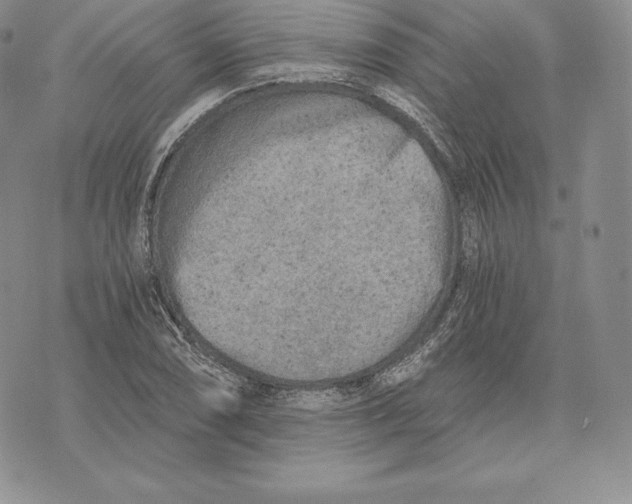 X0000072931074200608111529