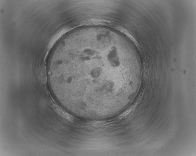 X0000072931075200608111529