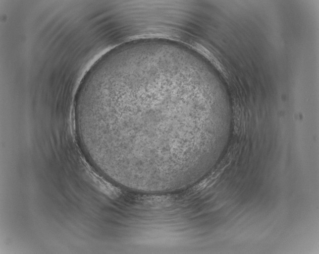 X0000072931076200608111529