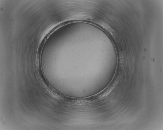 X0000072931077200608111529