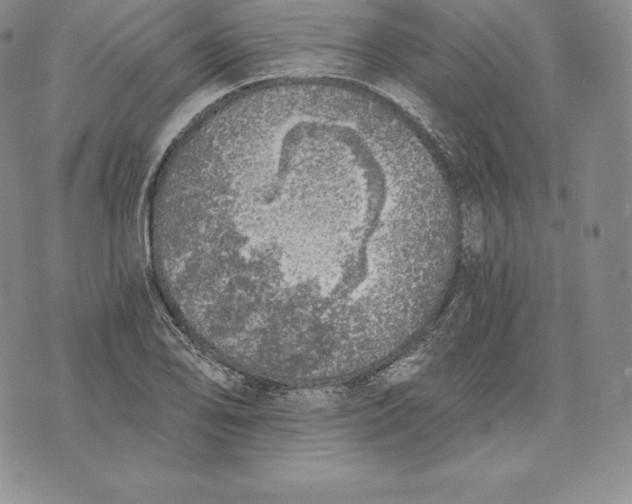 X0000072931078200608111529