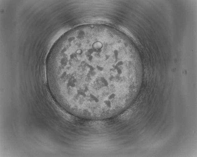 X0000072931079200608111529