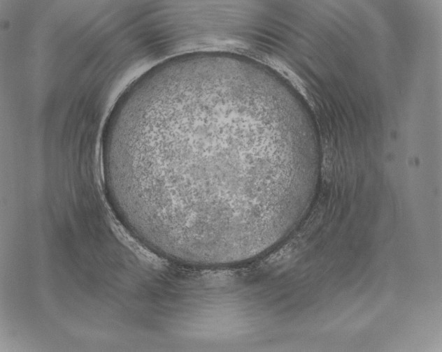 X0000072931080200608111529