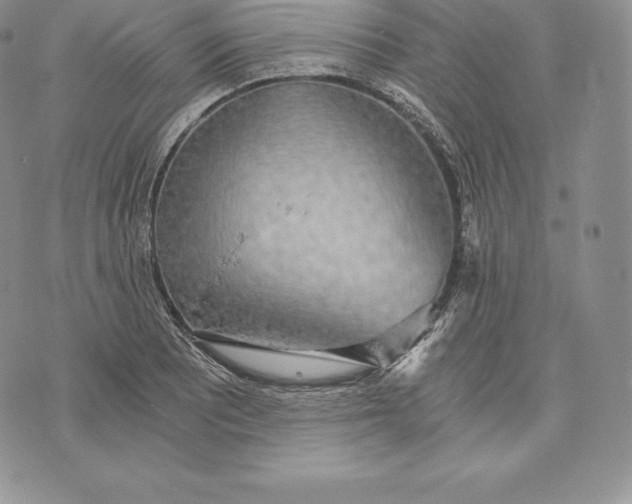 X0000072931081200608111529