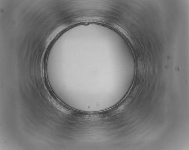 X0000072931082200608111529