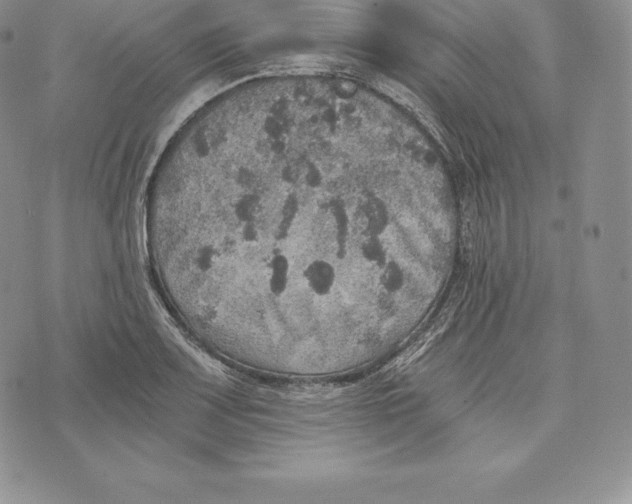 X0000072931083200608111529