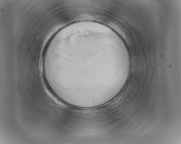 X0000072931084200608111529