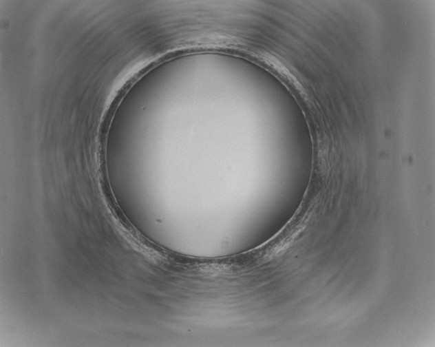 X0000072931085200608111529