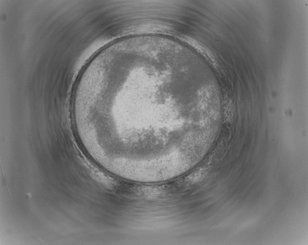 X0000072931086200608111529