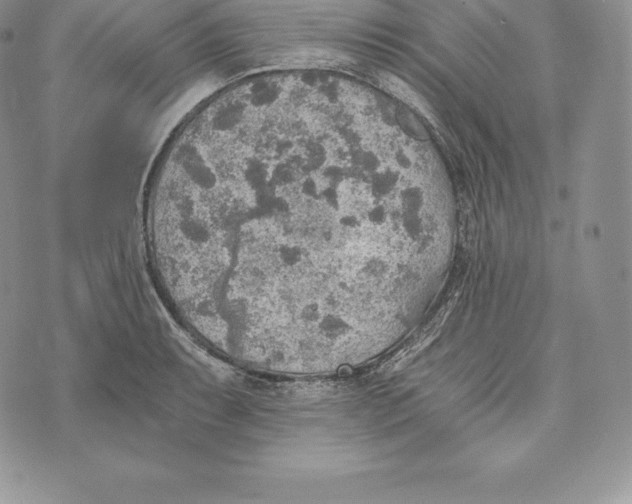 X0000072931087200608111529